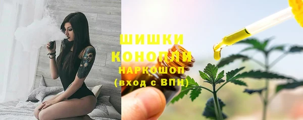 ПСИЛОЦИБИНОВЫЕ ГРИБЫ Белоозёрский