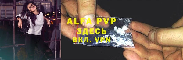 ПСИЛОЦИБИНОВЫЕ ГРИБЫ Белоозёрский