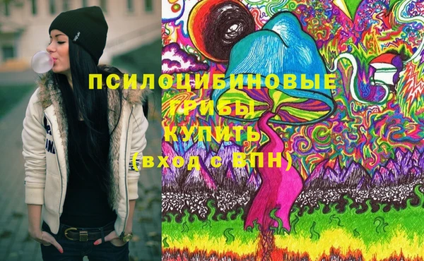 твердый Белокуриха