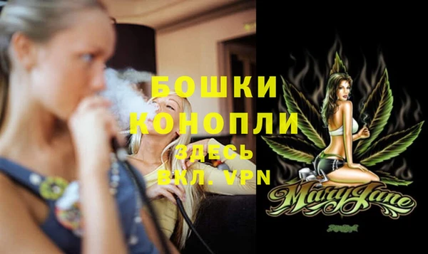 ПСИЛОЦИБИНОВЫЕ ГРИБЫ Белоозёрский