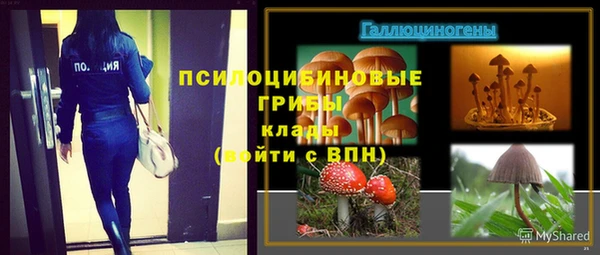 твердый Белокуриха